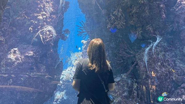珠海長隆飛船樂園，上面係酒店下面係樂園，完全唔洗離開同一個地...