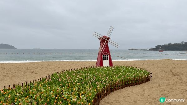 深圳市小梅沙，地理位置優越，只需需要喺地鐵站出嚟就可以直達沙...