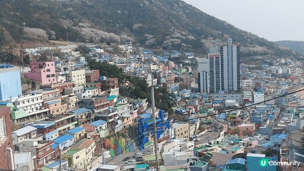 甘川洞文化村是釜山非常經典及必去的景點，這裡沿著山麓建造而成...