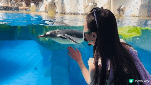 海洋公園係每年我都會去既地方 我最中意每年唔同節日既布置 餐...