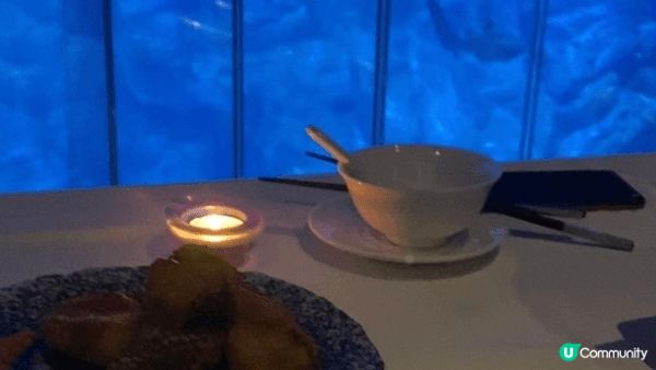 海洋公園係每年我都會去既地方 我最中意每年唔同節日既布置 餐...