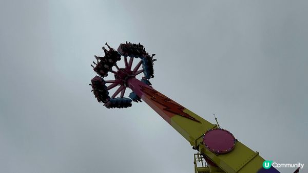 海洋公園係親子旅遊同打卡熱點，一程玩盡溫馨同動感：睇到萌爆熊...