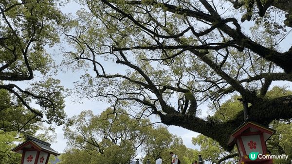 鍾意去旅行，影靚相，用自己嘅角度分享美好嘅事物比人