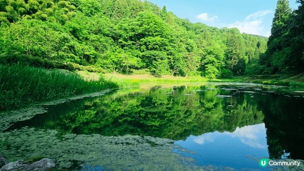 金澤市湯涌溫泉的冰室小屋！係以前啲人用嚟keep住冰凍嘅水！...