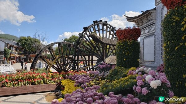 雲南香格里拉，風景如畫，民風純檏，當地人熱情好客。天氣好，食...