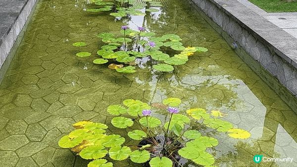 中山收音機博物館，真的一次過回憶以前的舊電話，想起從前小時候...