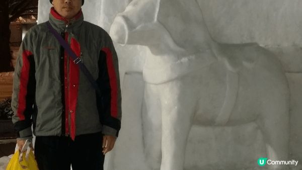 先到北海道看雪祭,再到參觀天空之城作者博物館,到東京sky ...