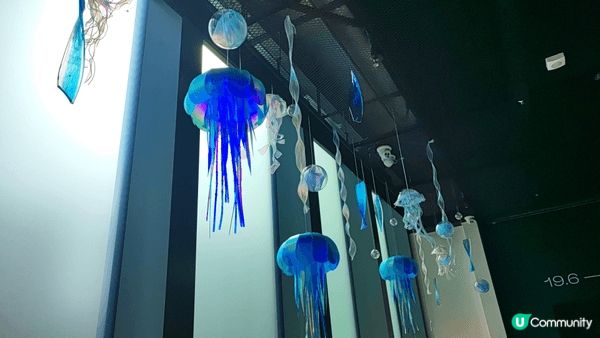 去了荔枝角展覽館。好多懷舊和新期展。合適一家大細去。又有冷氣...