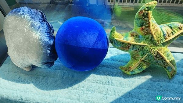 去了荔枝角展覽館。好多懷舊和新期展。合適一家大細去。又有冷氣...