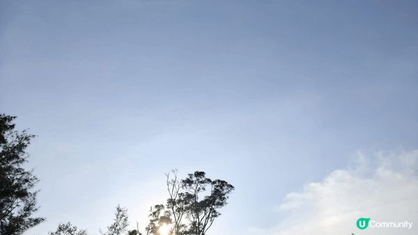 夏天緊係要同小朋友們去燒烤啦，位置又多，小朋友可以玩得開心