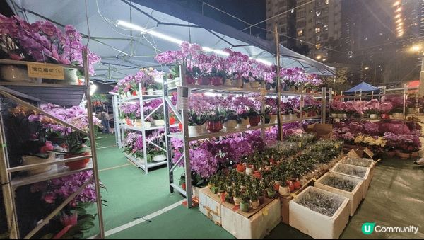 過年前梗係要行花市， 推薦位於葵芳喺新都會廣場對面嘅花市， ...