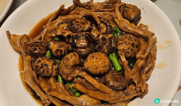 我最喜歡食龍蝦所以上載兩張龍蝦相分別是在九龍茶皇殿及在深圳撈...