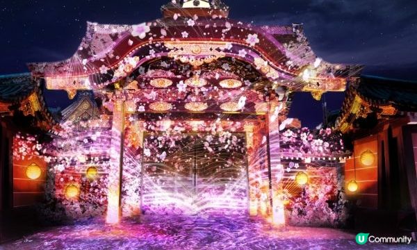 沉浸式櫻花盛典？京都「NAKED FLOWERS 2023 櫻 世界遺産・二条城」到世界遺產賞櫻吧！