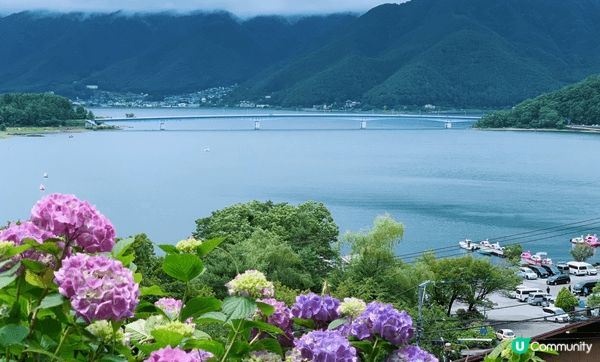 Tokyo is a place for relaxing ...