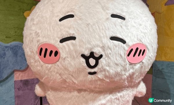 兔兔、Chiikawa、小白好得意，最鍾意兔兔，佢把聲好得意...