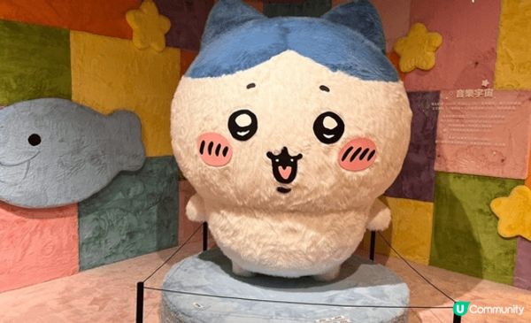 兔兔、Chiikawa、小白好得意，最鍾意兔兔，佢把聲好得意...