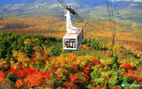 十和田湖 典型的雙火山口湖十和田湖的外緣開始，逐漸下降到湖畔...