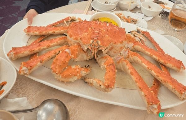 海港酒家長腳蟹 大大隻 好新鮮 好好食！ 用黎打卡影相絕對無...