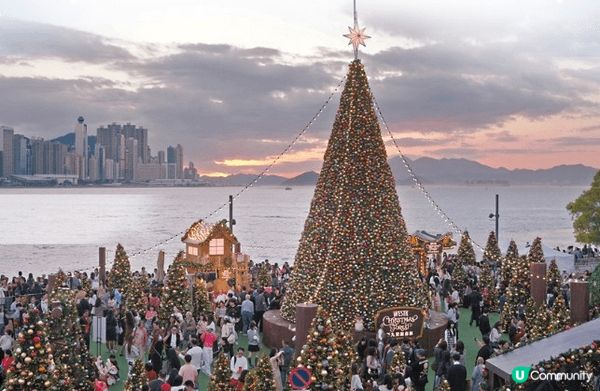 藝術公園洋溢聖誕祝福，海濱西草坪化身成「西九聖誕森林」，擺放...