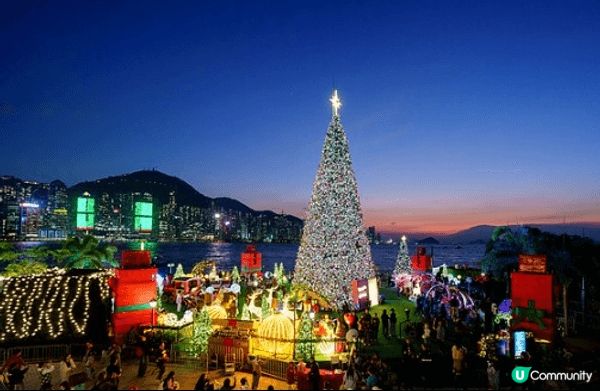 藝術公園洋溢聖誕祝福，海濱西草坪化身成「西九聖誕森林」，擺放...