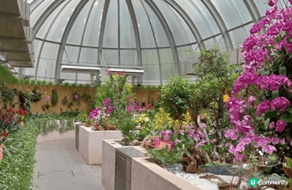 香港動植物公園（戶外生態與放電）