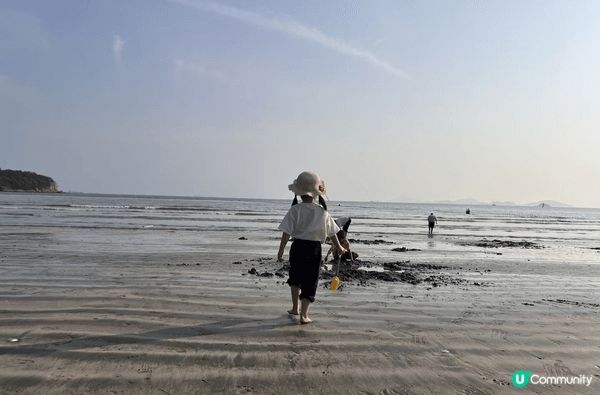 呢個親子活動真係正架！貝澳沙灘又靚又夠天然，帶埋細路去挖貝殼...