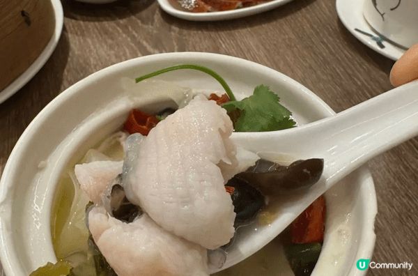 推薦食北京填鴨嘅餐廳《古琴雅苑》。