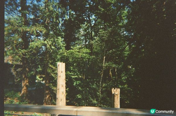 這張旅行打卡相拍攝於壯麗的瀑布前，水勢磅礴、景色震撼，四周自...