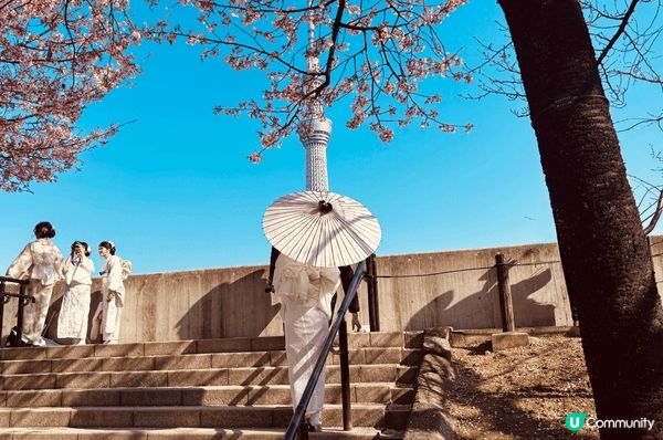 （1）三月的河口湖：不多的遊客，讓旅遊變得更寫意，春日的富士...