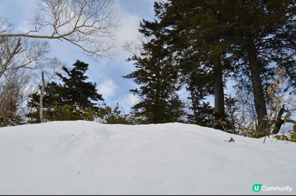 之前去北海道旅遊，嗰度真係值得再次到訪既地方，因為每個季節都...