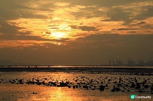 下白泥位於元朗流浮山，雖然位置比較偏僻，只要捕捉好鏡頭嘅角度...