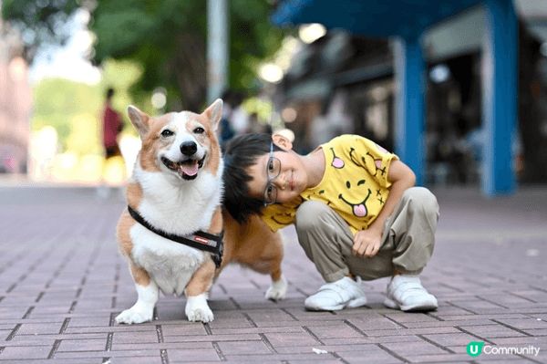 記錄了孩子成長中的不同時刻：與小狗同行、近距離接觸動物、在遊...