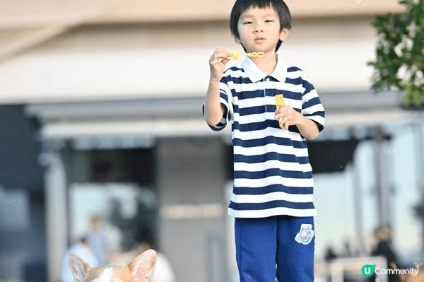 記錄了孩子成長中的不同時刻：與小狗同行、近距離接觸動物、在遊...
