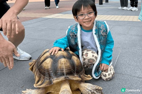 記錄了孩子成長中的不同時刻：與小狗同行、近距離接觸動物、在遊...
