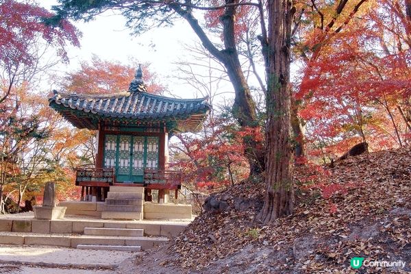 隱身於都市叢林中的秘密花園（昌德宮秘苑），彷彿一座時光機，將...