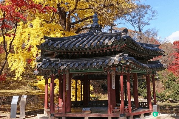 隱身於都市叢林中的秘密花園（昌德宮秘苑），彷彿一座時光機，將...