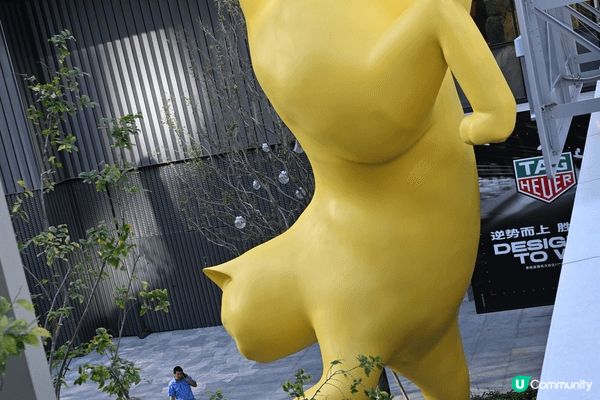 深圳灣人才公園及深圳灣萬象城環境優美，可以慢慢行慢慢搵餐廳，...