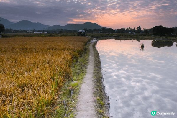塱原自然生態公園有木板歩道和觀鳥屋，能夠探索周圍的野生動物，...