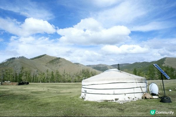 蒙古國草原上的蒙古包和金牛。