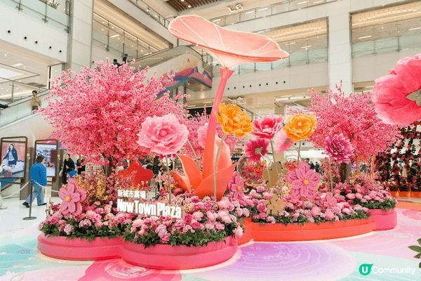 1-2. 新城市廣場~花開結緣,風生水起