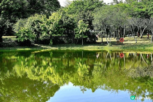深圳蓮花山公園，簡直是沉醉在不同花朵的世界一樣，讓人瞬間遠離...