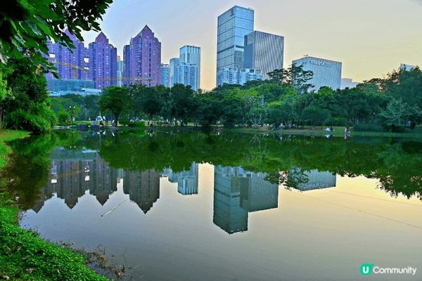 深圳蓮花山公園，簡直是沉醉在不同花朵的世界一樣，讓人瞬間遠離...