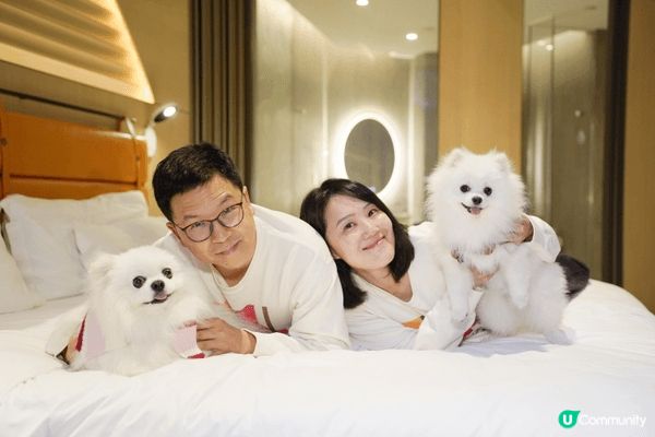 Another pet friendly hotel we ...