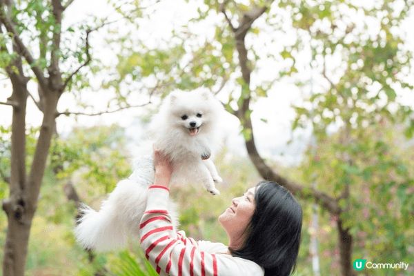 Another pet friendly hotel we ...