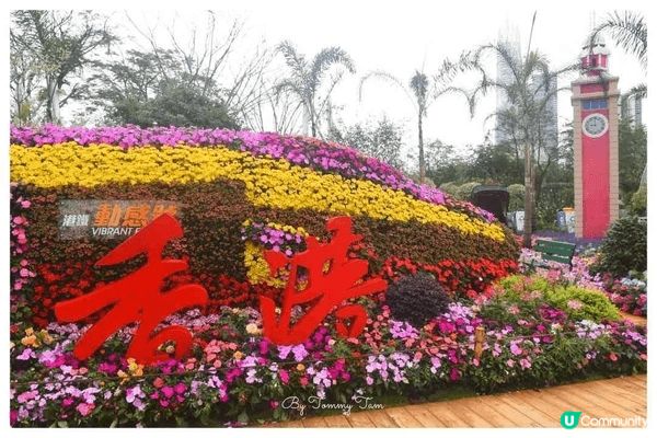 2026粵港澳大灣區花展