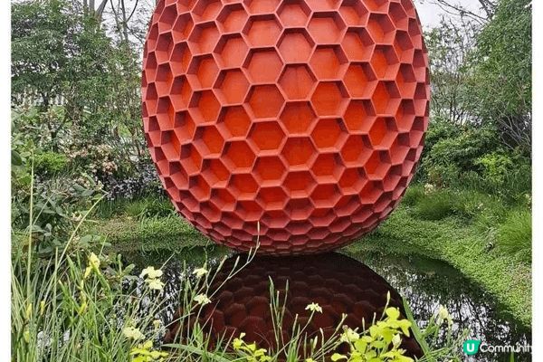 2026粵港澳大灣區花展