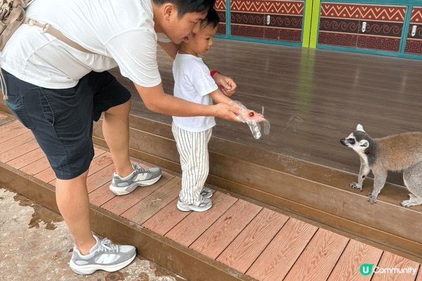 小朋友喜愛大自然喜愛動物，廣州，清遠長隆都去過，如果有幸抽到...
