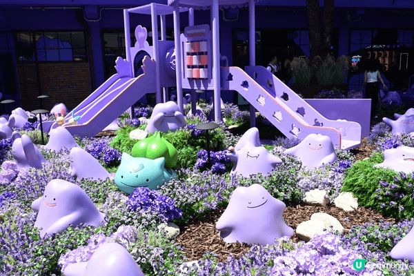 哈囉！我本來就是好喜歡到韓國旅遊的女生！很喜歡在IG和The...