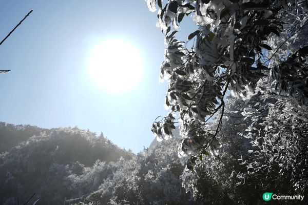 12月左右兩小時高鐵,就可以睇到滿山結霜,上午8點上山最好,...
