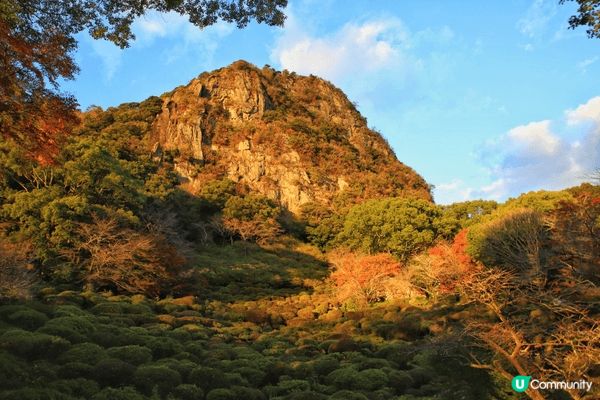 御船山樂園，四季景色都美，早晚又不同感覺，而且有team l...